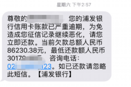 桐城专业讨债公司有哪些核心服务？